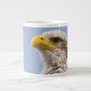 Suche nach raubvögel tassen Weißkopfseeadler