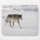 Suche nach wölfe schnee mousepads Natur