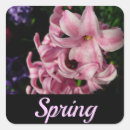 Suche nach hyazinthen aufkleber Rosa