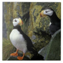 Suche nach island fliesen Meer