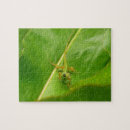 Suche nach eidechse puzzle Natur