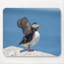 Suche nach puffin mousepads Atlantischer puffsack