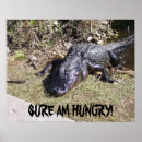 Suche nach alligatoren poster Reptilien