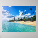 Suche nach dominikanische republik poster Palmen