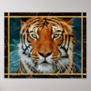 Suche nach blauer tiger poster Große katze