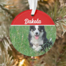 Suche nach border collie schmuck Dogs