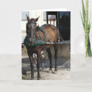 Suche nach pferd und buggy karten Iowa