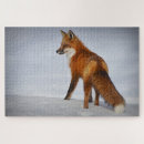Suche nach fuchs im schnee puzzle Wild