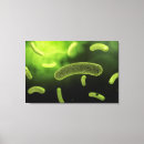 Suche nach biologie leinwandbilder Pathologie