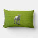 Suche nach lamb kissen Rosa