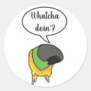 Suche nach senegal aufkleber Vogelvogel