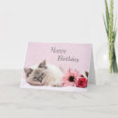 Suche nach ragdoll karten Cat