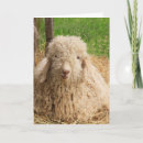 Suche nach goat karten Bauernhof