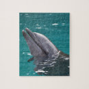 Suche nach delphin puzzle Natur