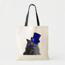 Suche nach tophat Graue katze
