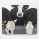 Suche nach temperatur mousepads Zusammengehörigkeit