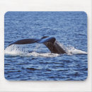 Suche nach buckel mousepads Ozean