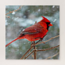 Suche nach schnee puzzle Vogel