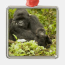 Suche nach gorilla ornamente Familie