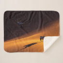 Suche nach wüste decken Landschaft