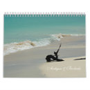 Suche nach muscheln kalender Küste