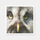 Suche nach ochsen Vogelvogel
