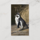 Suche nach pinguine visitenkarten Tiere