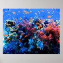 Suche nach unterwasser poster Tauchen