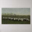 Suche nach lassen sie weiden poster Schafe