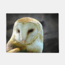 Suche nach schleiereulen Vögel