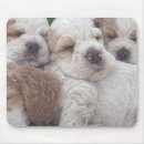 Suche nach katzen und hunde mousepads Grafik