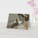 Suche nach schlangen karten Tierwelt