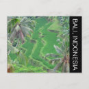 Suche nach ubud postkarten Reis