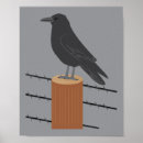 Suche nach rabe poster Vögel