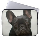 Suche nach französische bulldogge laptop schutzhüllen Hund