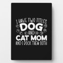 Suche nach katzen fotoplatten Niedliche katze