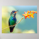Suche nach tropischer regenwald poster Vogelvogel