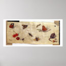 Suche nach insectes poster Insekten
