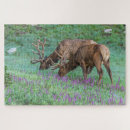 Suche nach rocky mountain national park puzzle Elch