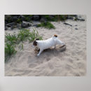 Suche nach capo poster Strand