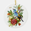Suche nach blaue vogel ornamente Singvogel