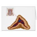 Suche nach endokrine drüse Physiologie