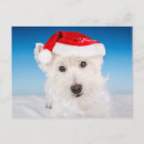 Suche nach weihnachtstiere postkarten Weihnachtsmannmütze