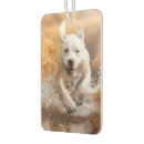 Suche nach labrador retriever autozubehör Haustier