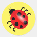 Suche nach käfer bastel zubehör Ladybug