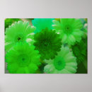 Suche nach gerbera poster Griechen