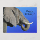 Suche nach irrelevant postkarten Geburtstag