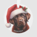 Suche nach niedliche schokolade ornamente Labrador retriever