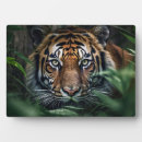 Suche nach tiger fotoplatten Tier