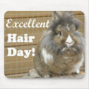Suche nach kaninchen mousepads Sonnig